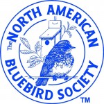 blue bird society